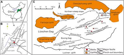 Research on the sedimentary characteristics of organic matter in lacustrine mudrocks and their hydrocarbon generation potential based on palynofacies analysis: Eocene shahejie formation, dongying sag